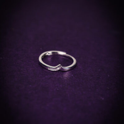 Modern Sleek Design Ring