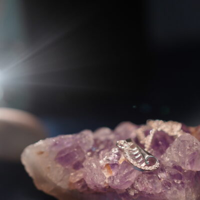 Shell of Love Necklace